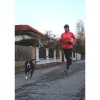 Runner Buddy 3.0 running leash black package 1 pc