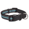 Klickhalsband für Hunde, blau, Größe M