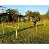 Dog Multi agility překážky pro psy balení 1 balení