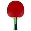 Timo Boll Smaragd Tischtennisschläger, VE 1 Stk