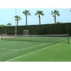 Deluxe TN50G tennis net green package 1 pc
