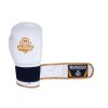 Boxerské rukavice DBX BUSHIDO DBD-B-2 (Velikost 10 z.)