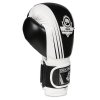 Boxerské rukavice DBX BUSHIDO B-2v3A (Velikost 10oz)