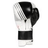 Boxerské rukavice DBX BUSHIDO B-2v3A (Velikost 10oz)