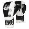 Boxerské rukavice DBX BUSHIDO B-2v3A (Velikost 10oz)