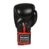 Boxerské rukavice DBX BUSHIDO BB2 (Velikost 10oz)
