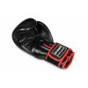 Boxerské rukavice DBX BUSHIDO BB2 (Velikost 10oz)