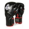 Boxerské rukavice DBX BUSHIDO BB2 (Velikost 10oz)