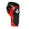 Boxerské rukavice DBX BUSHIDO BB4 (Velikost 10oz)