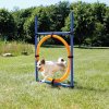 AGILITY-Sprungkreis