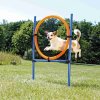 AGILITY-Sprungkreis