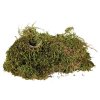 Rêu Terrarium, chất nền tạo độ ẩm cho hồ cạn 200 g