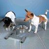 Dog bar, height 27cm, 2 bowls 0.75l/17cm