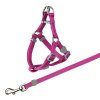 Nylon-Katzengeschirr mit Leine 26–37 cm/10 mm, 1,20 m