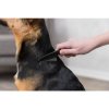 Flea comb very fine for fleas and dust 21 cm