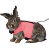 VESTA harness with leash for a large rabbit 25-40cm/1.20m