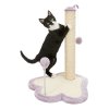 JUNIOR paw scratcher with ball on spring and rubber band 40 x 38 cm