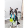 Bungee Tugger, tug with TPR ball, ø 7/48 cm