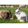 Snack Box - interactive game for rabbits, 14 x 3 x 7 cm, wood