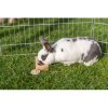 Snack Box - interactive game for rabbits, 14 x 3 x 7 cm, wood