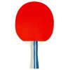 Complete set for table tennis, package 1 set