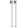 Neolite 2023 downhill poles anthracite-red length 115 cm