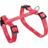 Harness with leash for rabbit - motif 25-44/1cm 1.25m