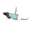 VESTA harness with leash for a 12-18cm/1.2m rat