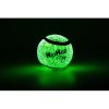 Ánh sáng neon trong quần vợt tối. bóng 6.5cm CHÓ HIPHOP