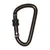 HIGHLANDER BASILISK 8mm Carabiner, 2 pcs
