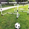 Gartentor-Set, Fußballtor, 2 Stück, Paket 1 Set