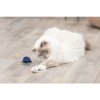 Meerestier - Meerestiere mit Katzenminze, 5-8 cm, verschiedene Arten