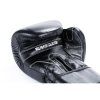 Boxerské rukavice DBX BUSHIDO B-ProFight (Velikost 10oz.)