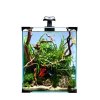 Aquarium set nano LED 20 25x25x30cm (RP 2.10 CZK)