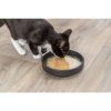 Shrimp Soup shrimp & chicken - liquid treat for cats, (BAL 4 x 80 g)