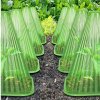 Nón bảo vệ cây trồng Plant Protect Cone 10 chiếc gói 1 bộ