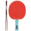 Zephyr pálka na stolní tenis varianta 37098