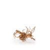 Spider Wood S, 20-30cm