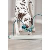 Dog Activity Skills Loop, motorická hračka pro psy, 43 cm, kov/plast