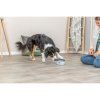 Dog Activity Buzzer, interaktivní hračka pro psy, o 14 × 9.5 cm