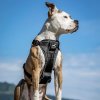 qr trufit harness bk ls sitting 1x1 2201202509561978577