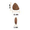 10143 detail granule