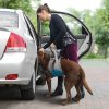 up and about lifter blu gry ls car door 1x1 1 3101202511383266422