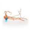 Spider wood M, 30-40cm