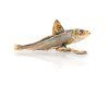 KIDDOG SUPER PREMIUM rybičky - mořské šproty 10 cm / 100 g