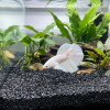 Akvarijní a terarijní štěrk černý 5 kg DECO