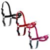 PETSAFE EASYWALK trio 0710202213565040374