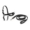 PetSafe EasyWalk Postroj pro psy cerna S 0710202211195066246