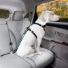 kurgo bezpe nostn autop s pre psa s up nac m mechanizmom direct to seatbelt tether coastal blue 1 2201202511180994581
