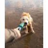 ruffwear pacific loop aurora image 3009202212361273116